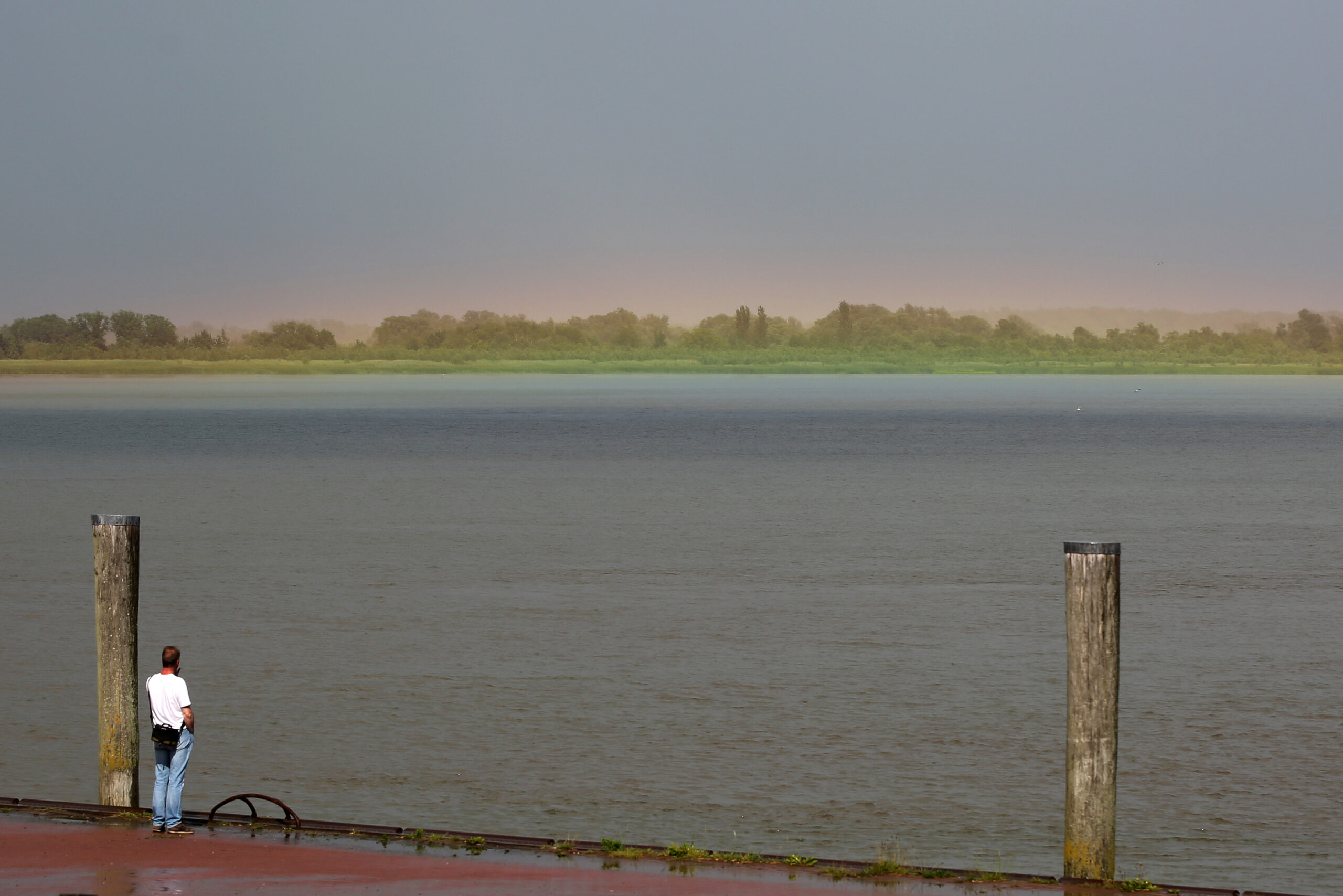 Der Schiffsanleger Stadersand: Bisher fahren hier keine Ausflugsschiffe.