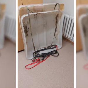 Der Elfjährige ist in Kuchelmiß bei einem Unfall mit diesem selbstgebauten Schlitten aus einem Plastikcontainer gestorben.