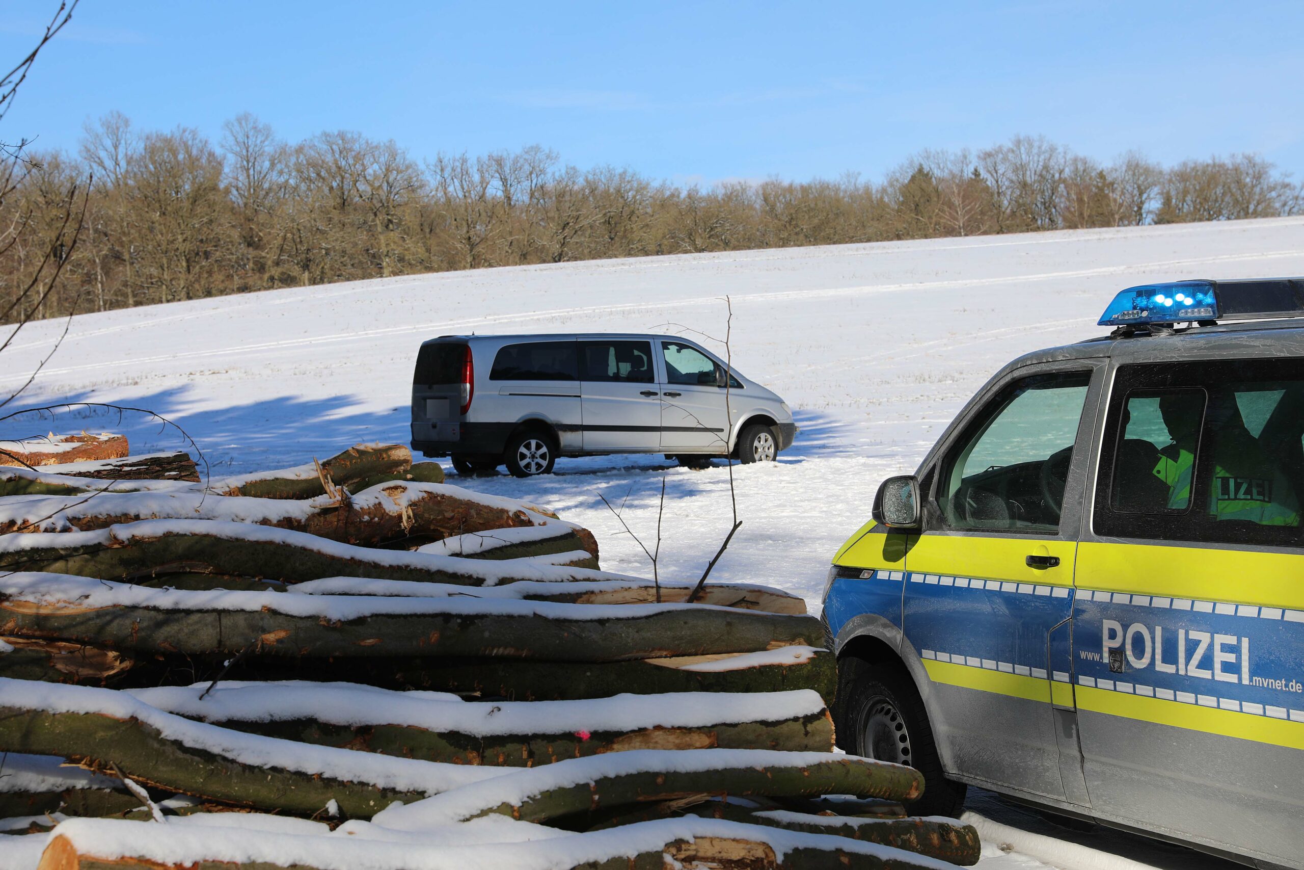 Der Kleintransporter steht vor dem Stapel Baumstämme.