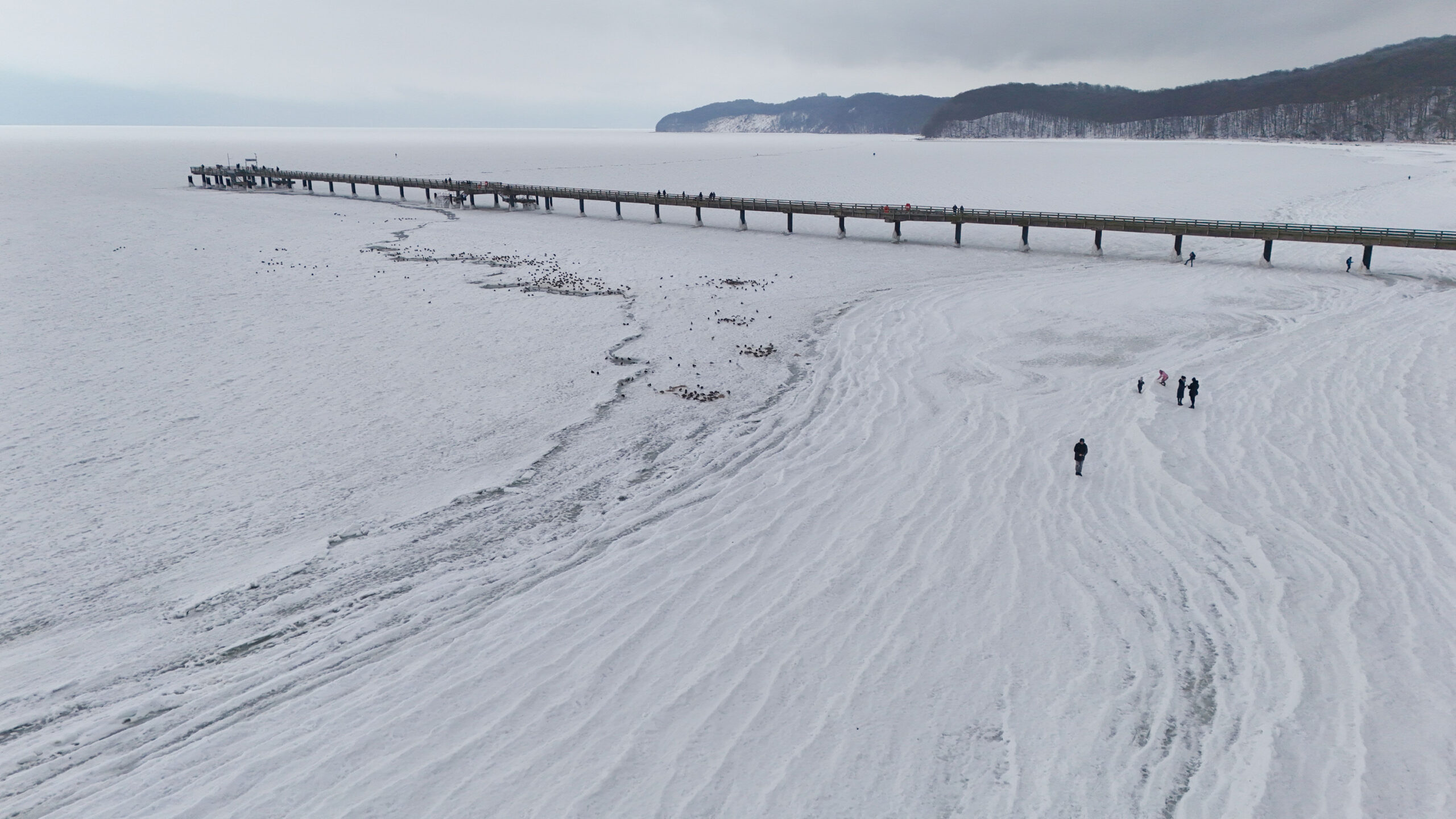 Die Seebrücke von Binz
