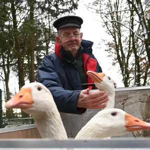 Ludwig Smidt verabschiedet sich von seinen drei Gänsen