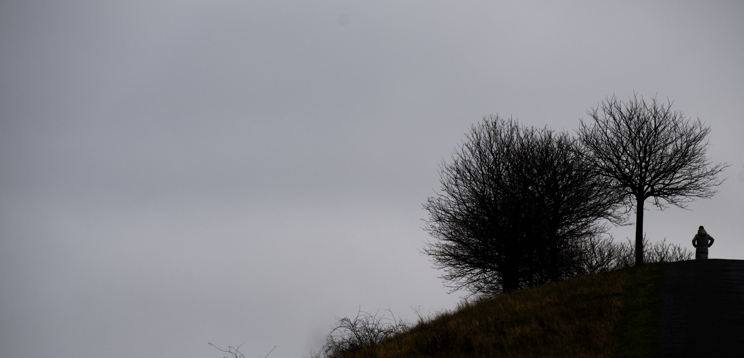 In Niedersachsen und Bremen ist die Luftqualität derzeit sehr schlecht.