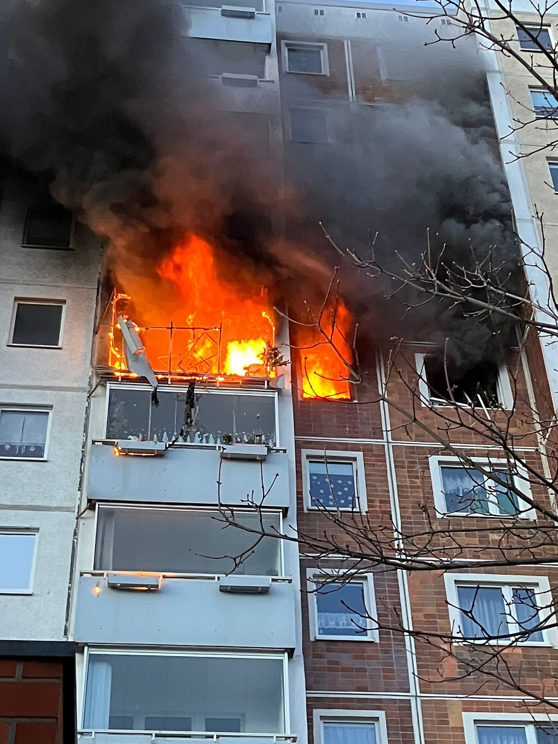 Flammen schlagen aus dem Sonnenblumenhaus in Rostock.