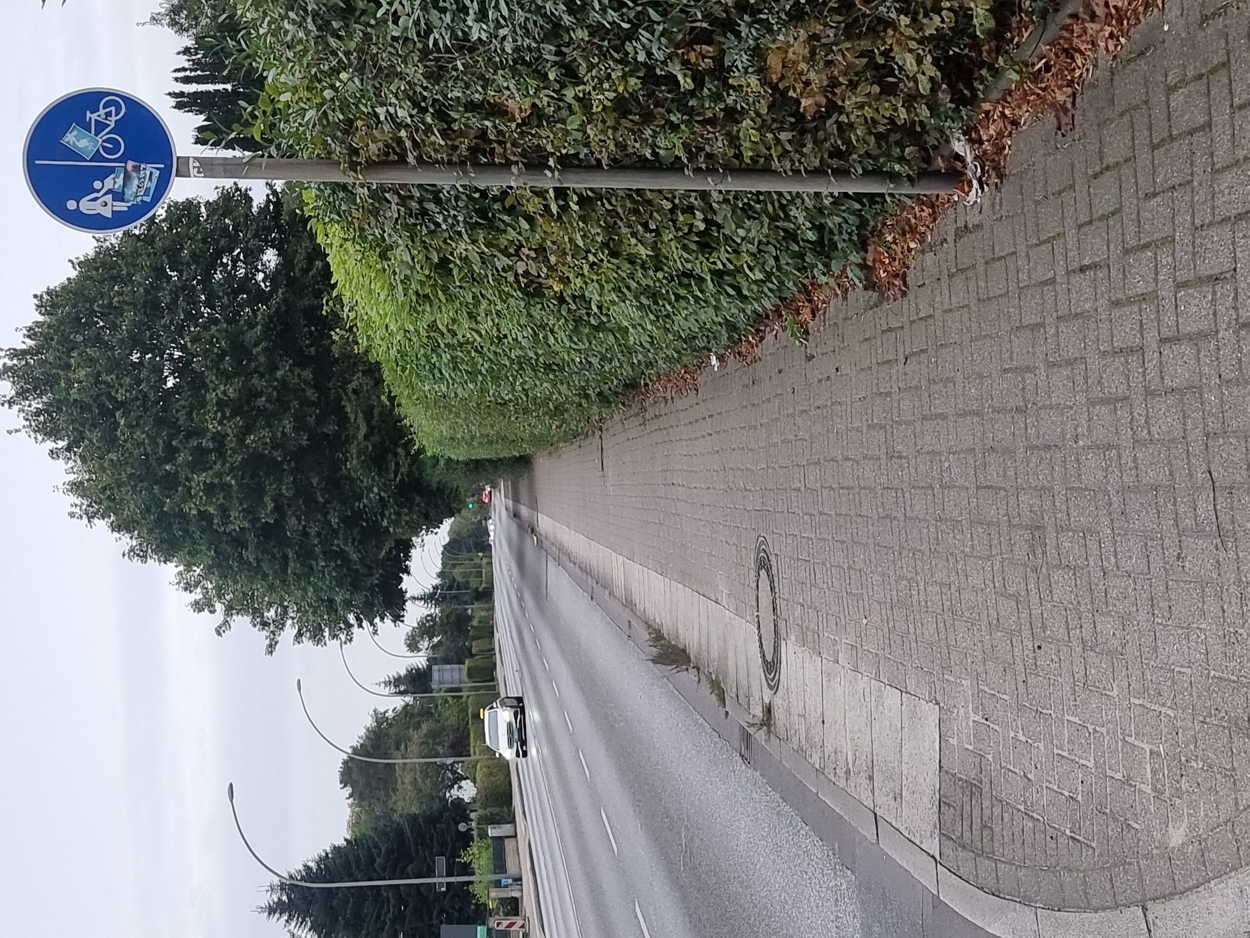 Farnhornweg