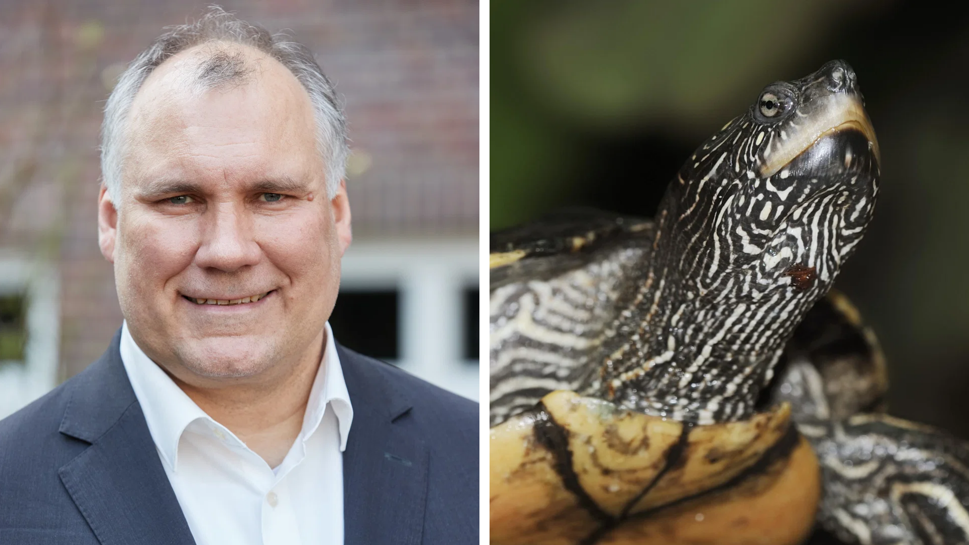 Björn Lengwenus und Schildkröte