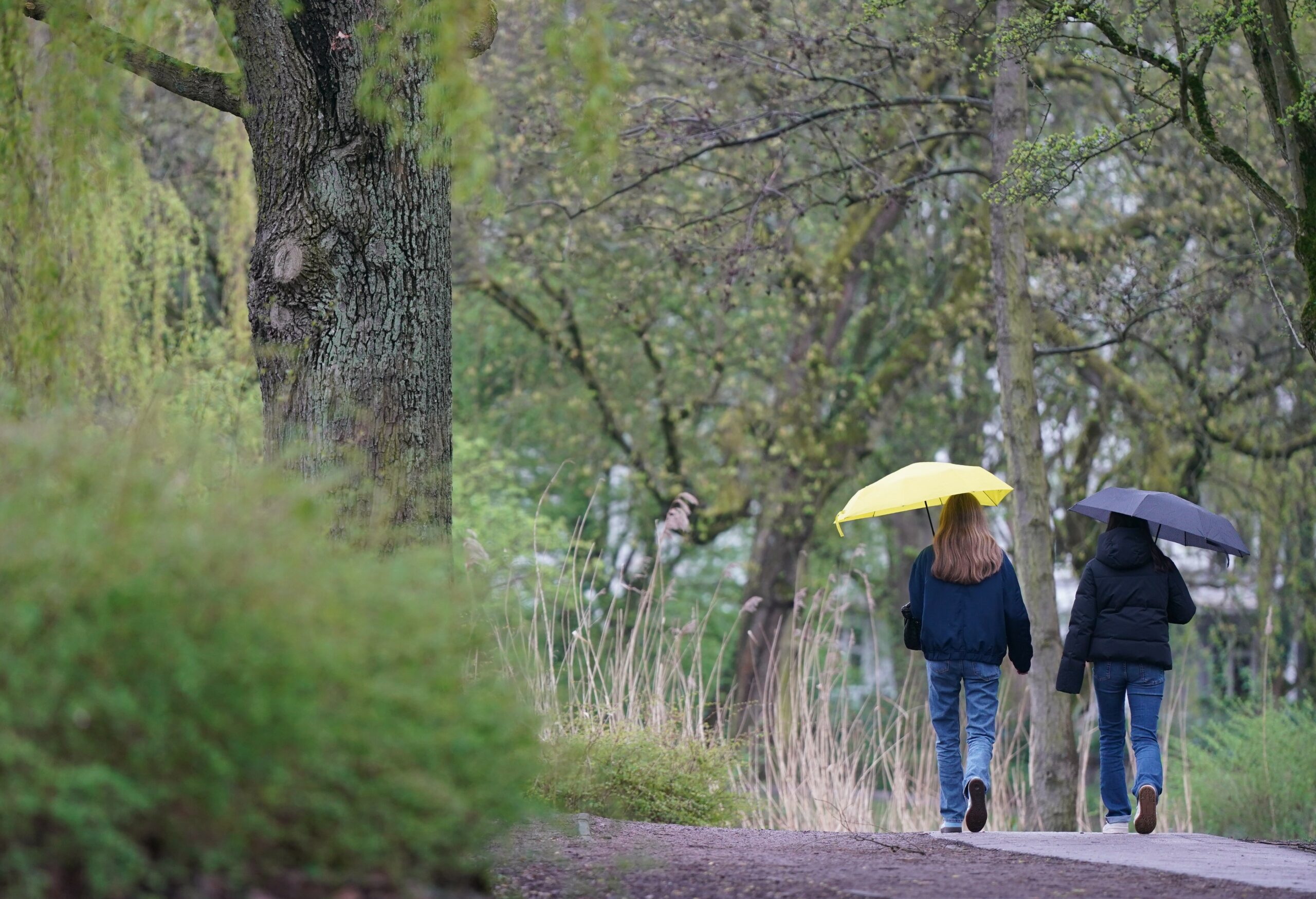 Zwei junge Frauen gehen im Regen in einem Park spazieren.