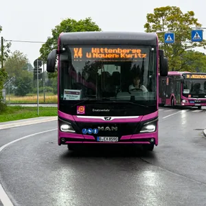 Pinkfarbene Busse von vorne