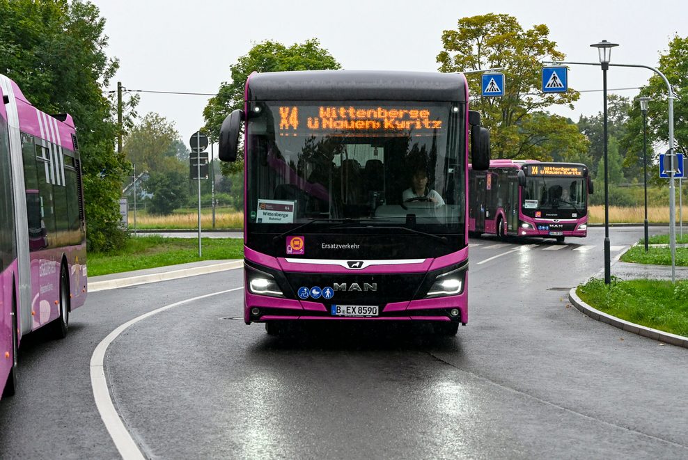 Pinkfarbene Busse von vorne