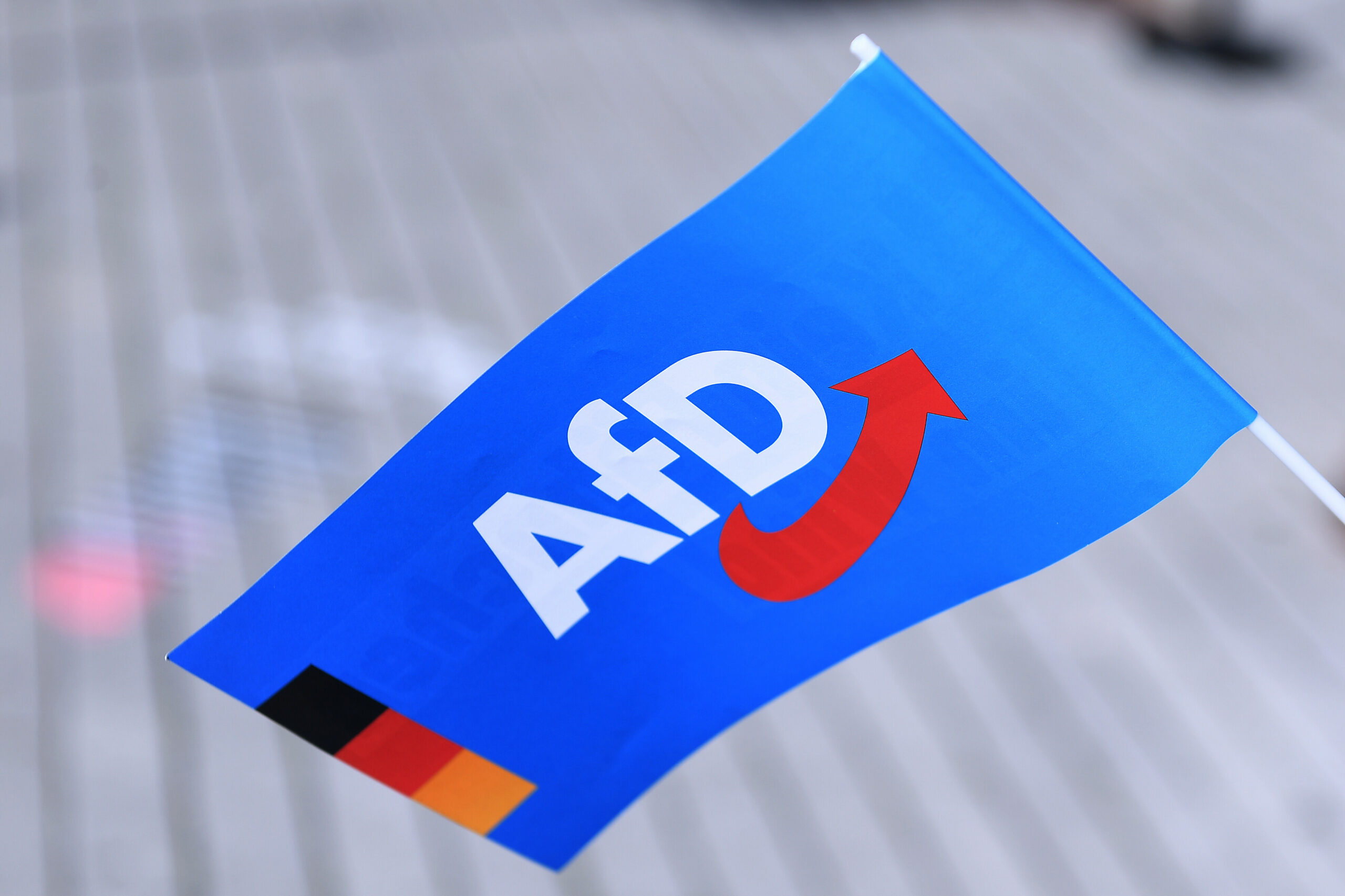 Zwei weitere AfD-Abgeordnete sind aus der Harburger Fraktion ausgetreten. Das Partei-Fähnchen schwenken sie aber weiter.