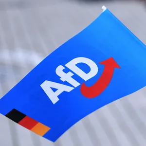 Zwei weitere AfD-Abgeordnete sind aus der Harburger Fraktion ausgetreten. Das Partei-Fähnchen schwenken sie aber weiter.