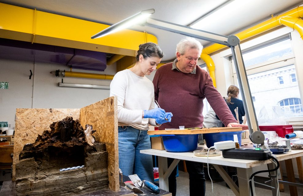 Corinna Mayer (l), Restaurateurin, und Harald Lübke, Archäologe, stehen in der Restaurierungswerkstatt vom Schloss Gottorf neben einem rund 10.500 Jahre alten Auerochsenschädel.