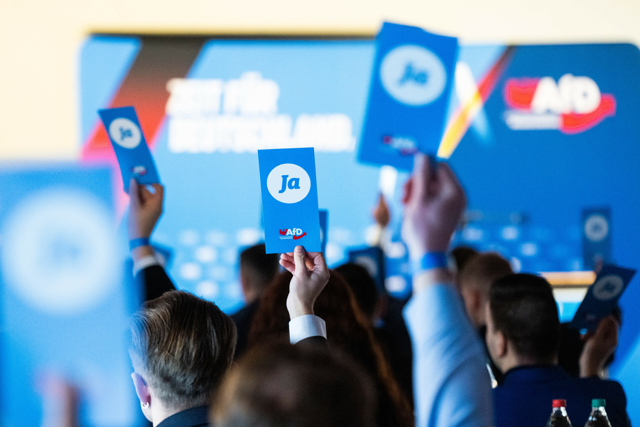 Menschen halten blaue Stimmkarten hoch