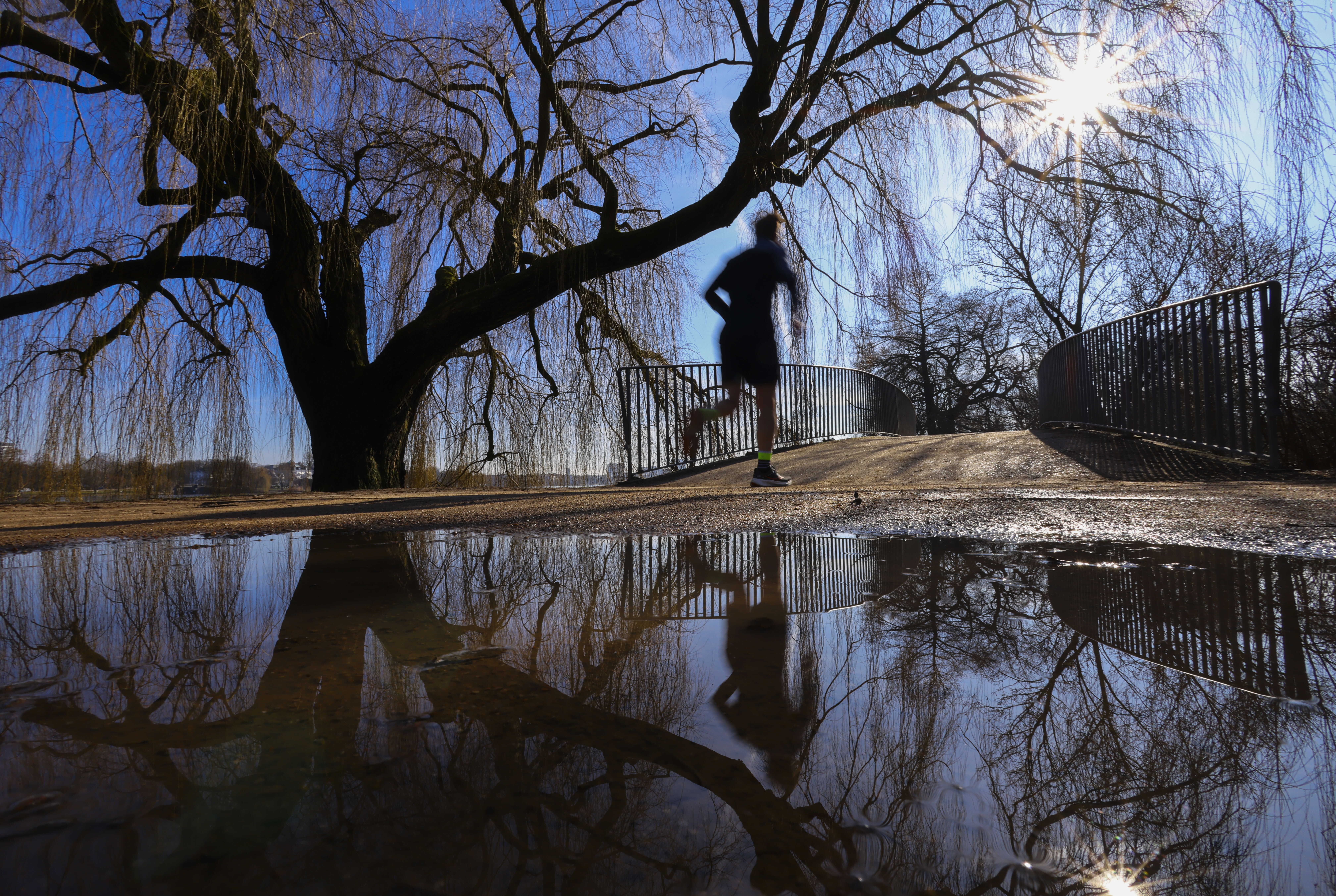 Ein Jogger bei sonnigem Wetter an der Alster