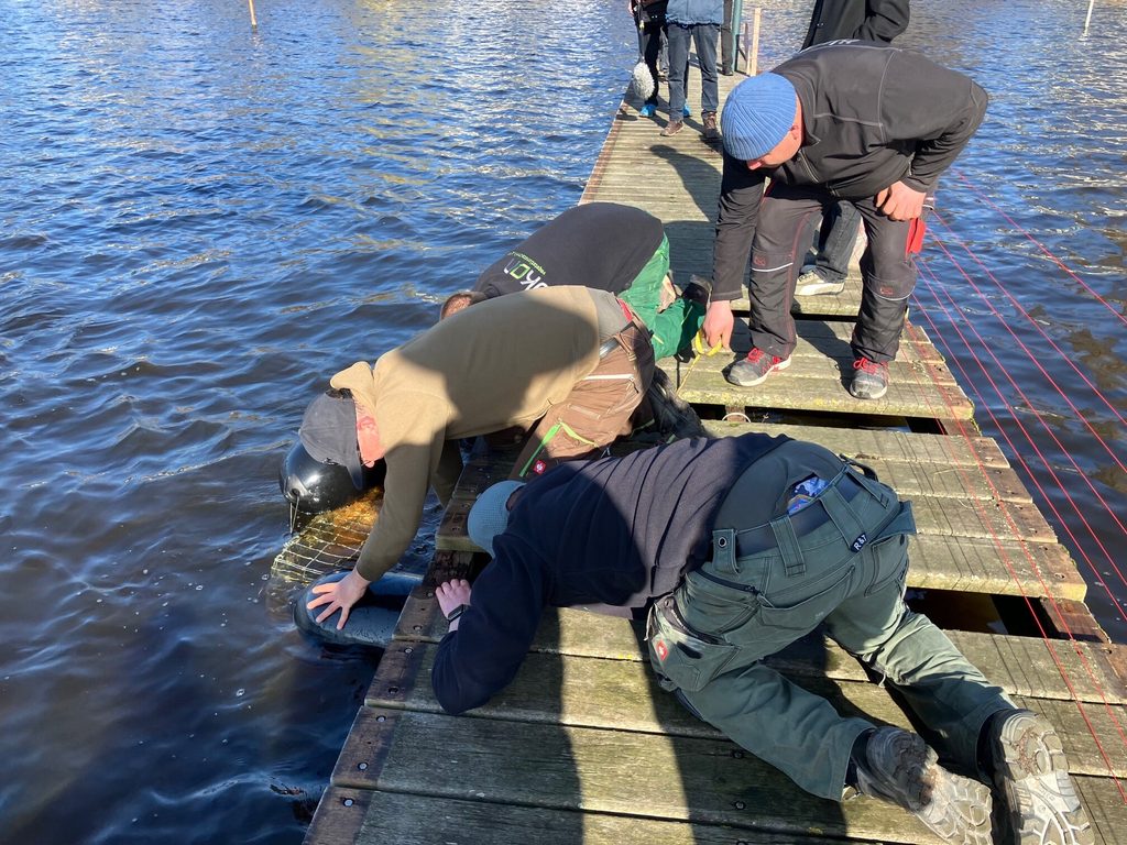 BUND und Nabu stellten an der Außenalster eine umfassende Machbarkeitsstudie für die ökologische Aufwertung des Hamburger Binnengewässers vor.
