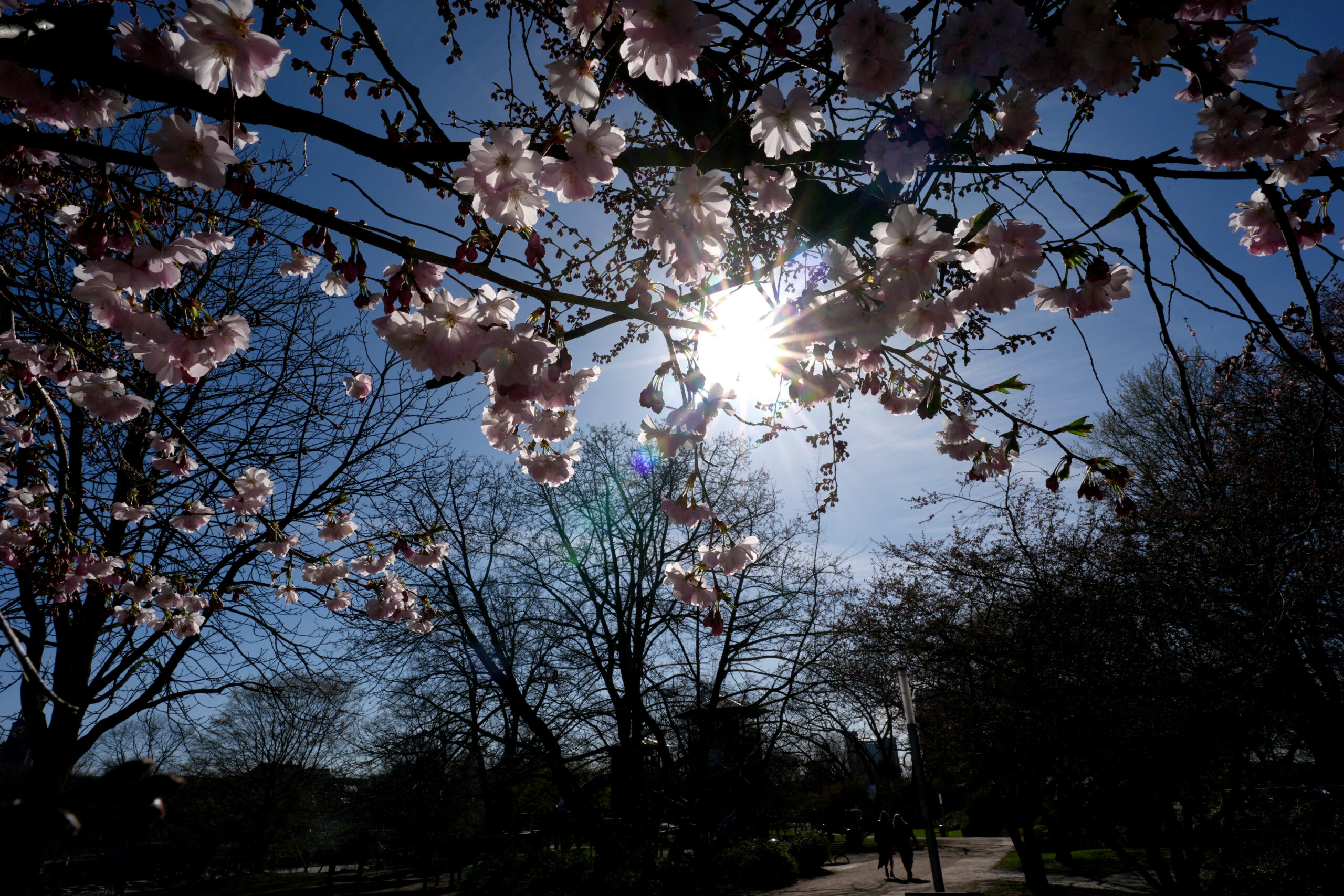 Passanten gehen im Park „Planten un Blomen“ spazieren.