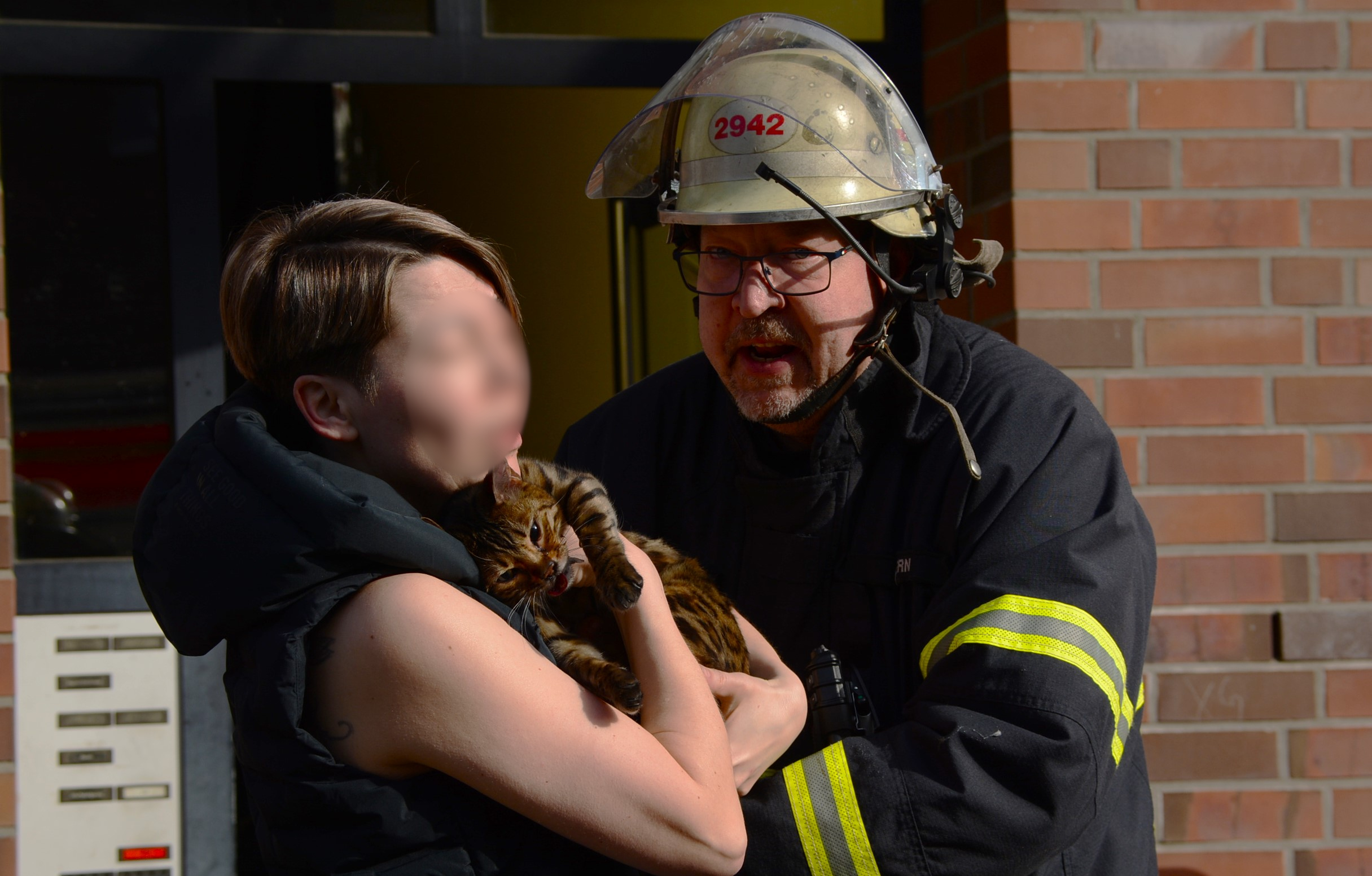 Die beiden Katzen konnten der Besitzerin wohlbehalten übergeben werden.