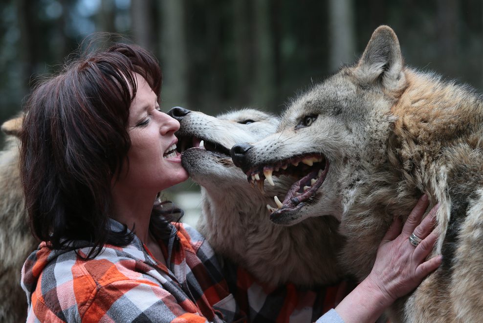 Wolf-Expertin Tanja Askani