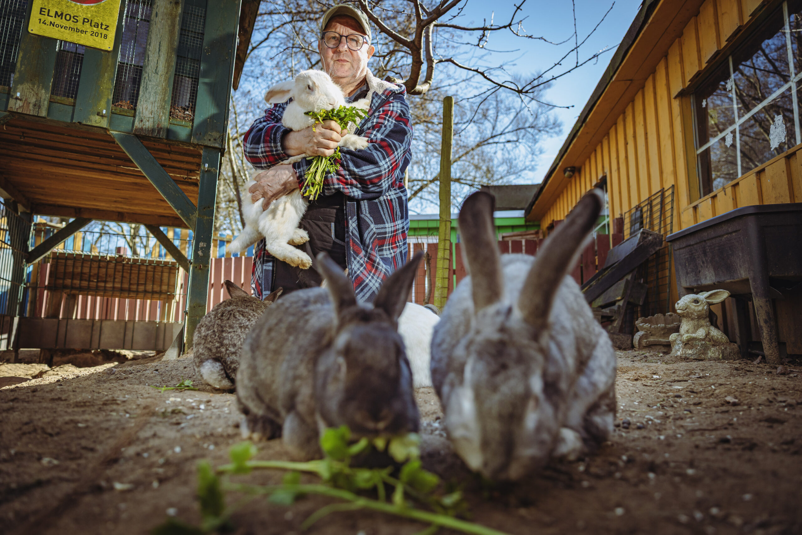 Gerd Horn mit seinen Deutschen Riesen.