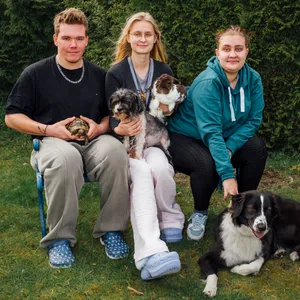 Drei junge Menschen mit Hunden.
