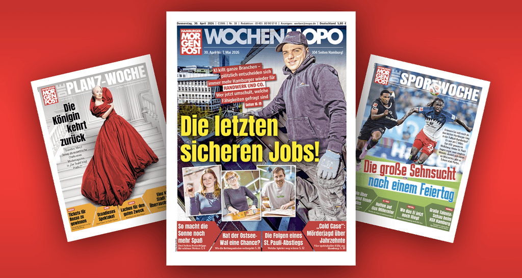 Oberleitung: was Sie wissen müssen — image 5