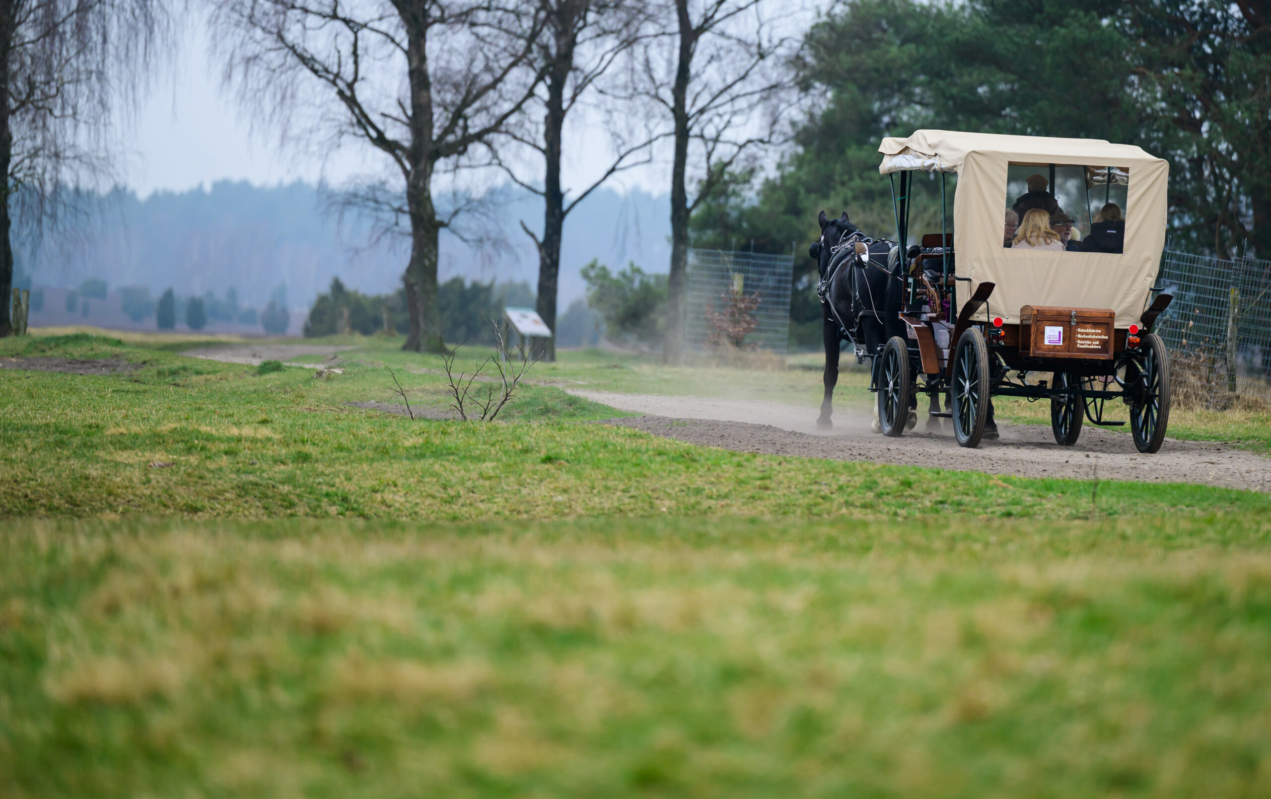 Rad gebrochen – Frau bei Kutschunfall in Börnsen verletzt