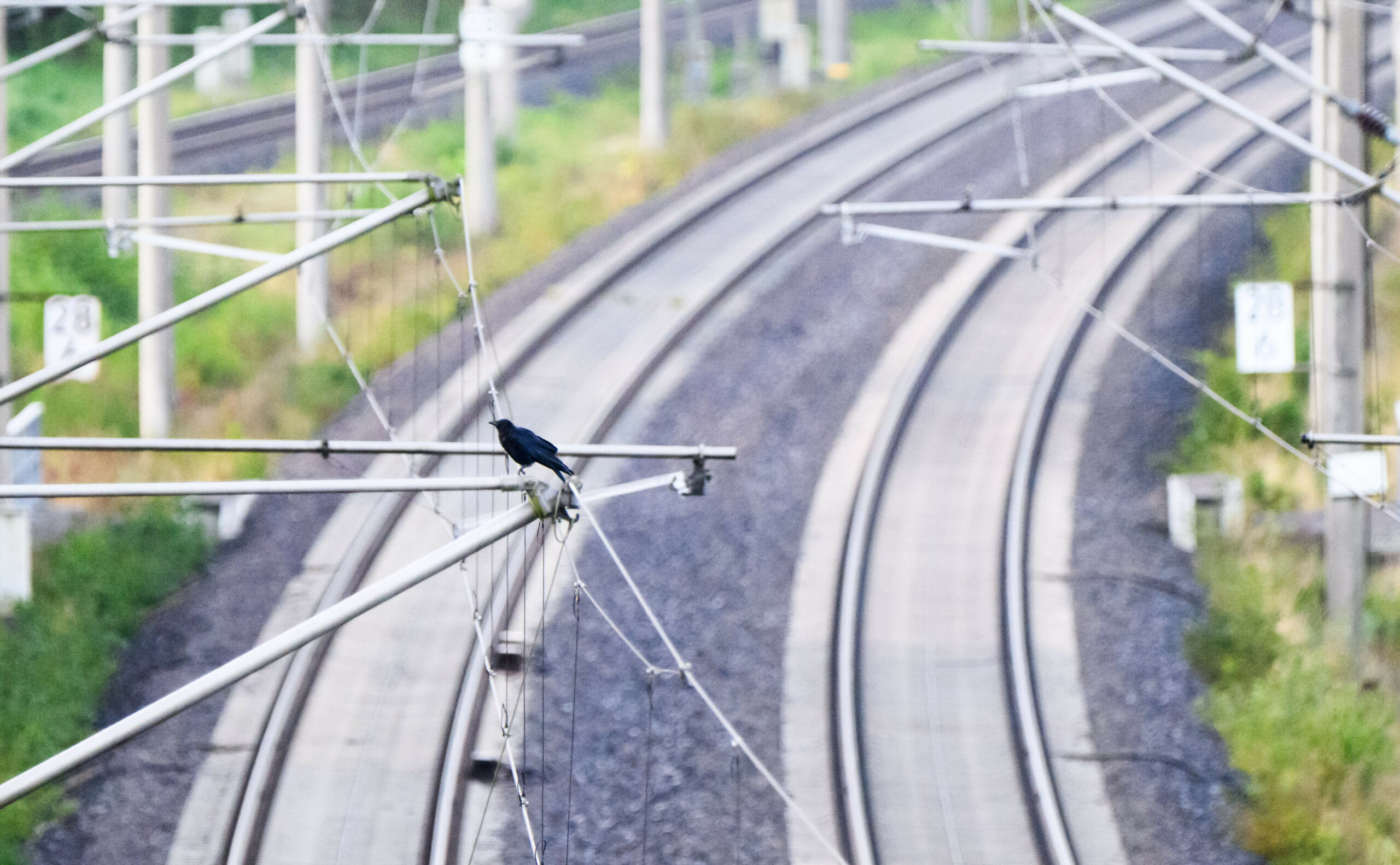 Wegen eines Schadens an einer Oberleitung in Hannover kommt es auch im Fernverkehr zu Verspätungen (Symbolfoto).