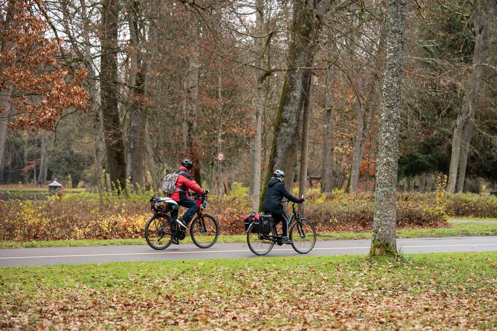 Zwei Fahrradfahrer fahren an einem Waldstück vorbei.