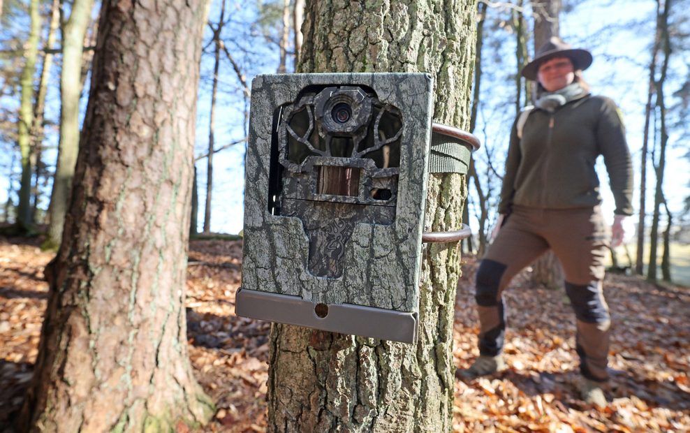 Die Rangerin steht hinter einer Wildkamera. Mit der möchte sie ein Bild der Wildkatzen einfangen.