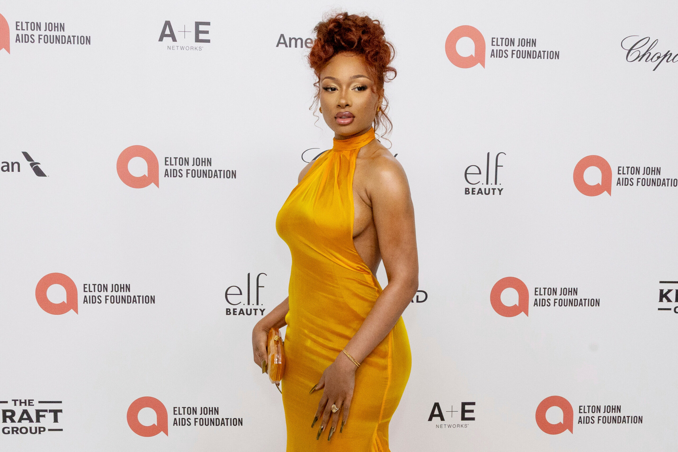 Rapperin Megan Thee Stallion