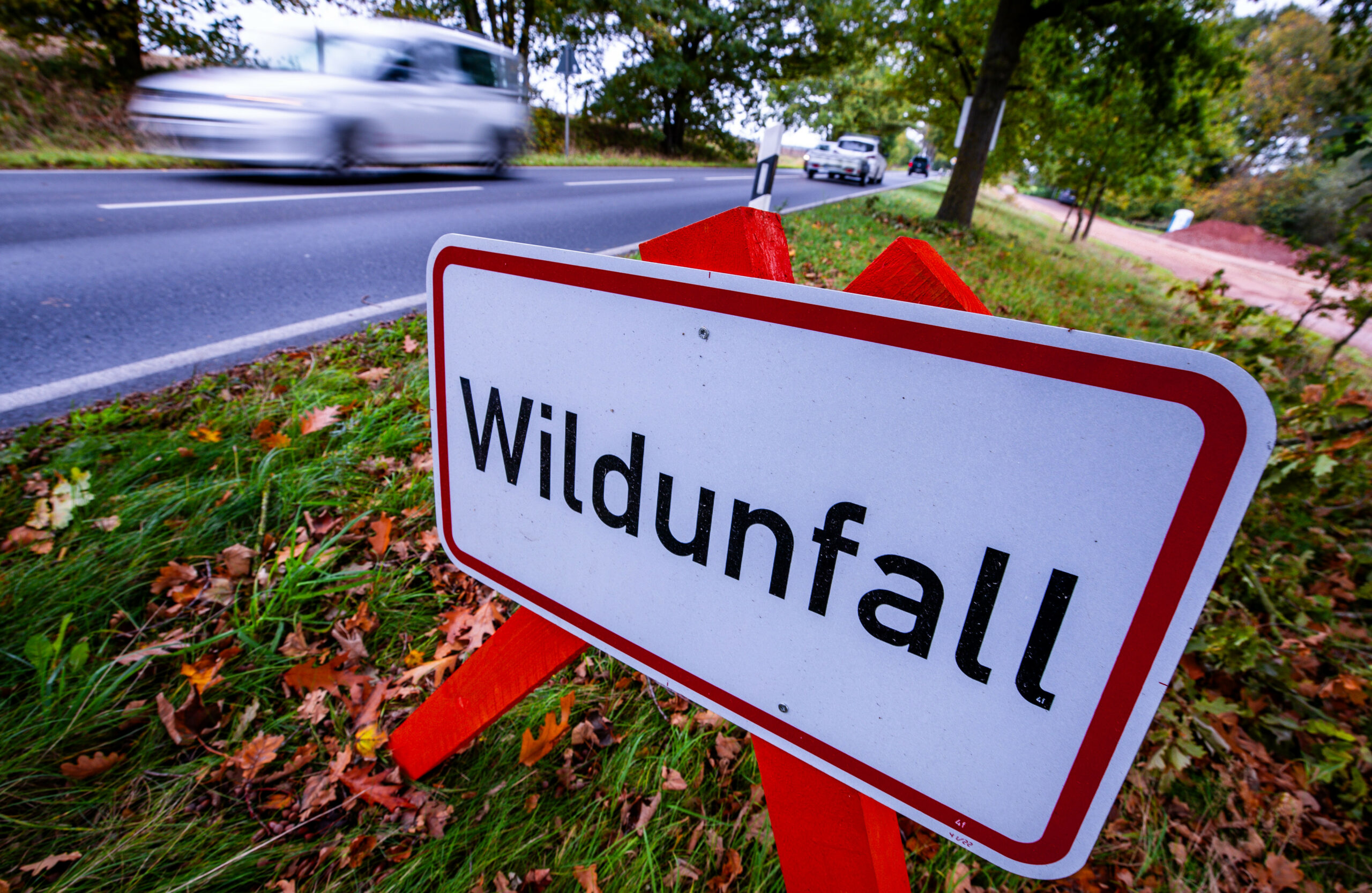 Ein Warnschild mit der Aufschrift „Wildunfall“ (Symbolfoto).