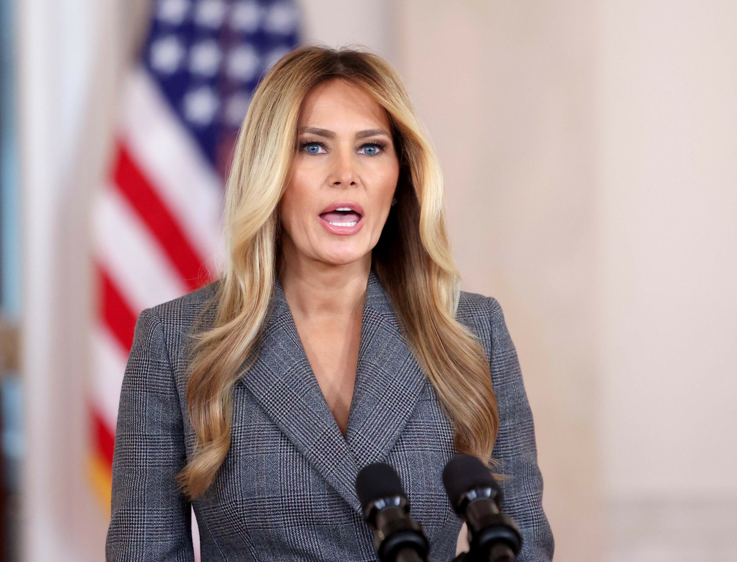 Melania Trump spricht bei einem Auftritt im Weißen Haus über den Epstein-Fall.