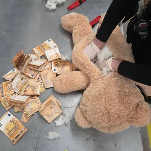 Teddybär und Geldscheine