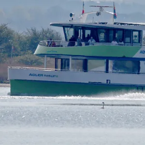 Die Polizei eskortiert das Ausflugsschiff „Adler nature“ in der Nähe des gestrandeten Buckelwals.