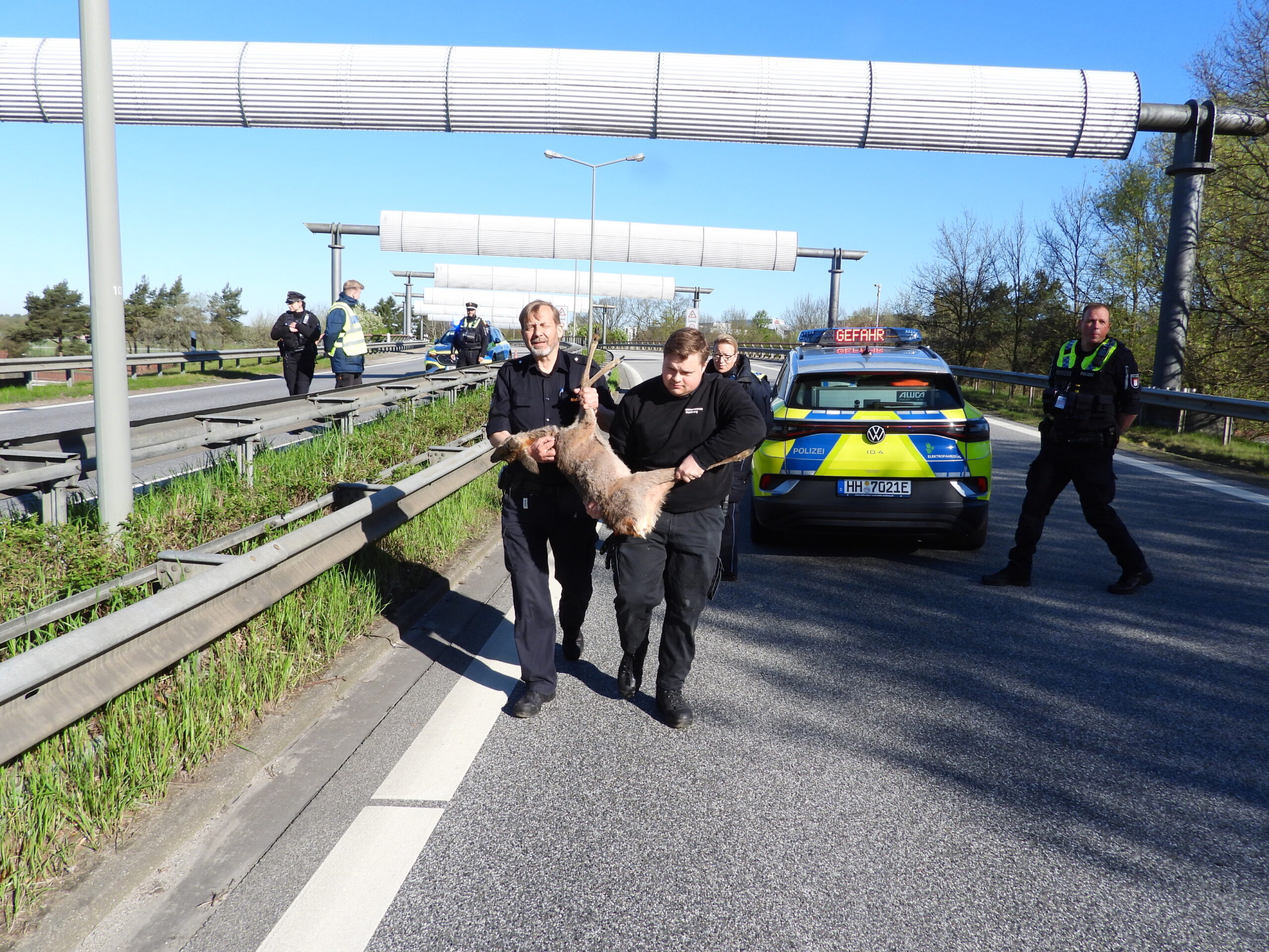 Verletztes Reh am Flughafen – für die Rettung muss Zufahrtsstraße gesperrt werden
