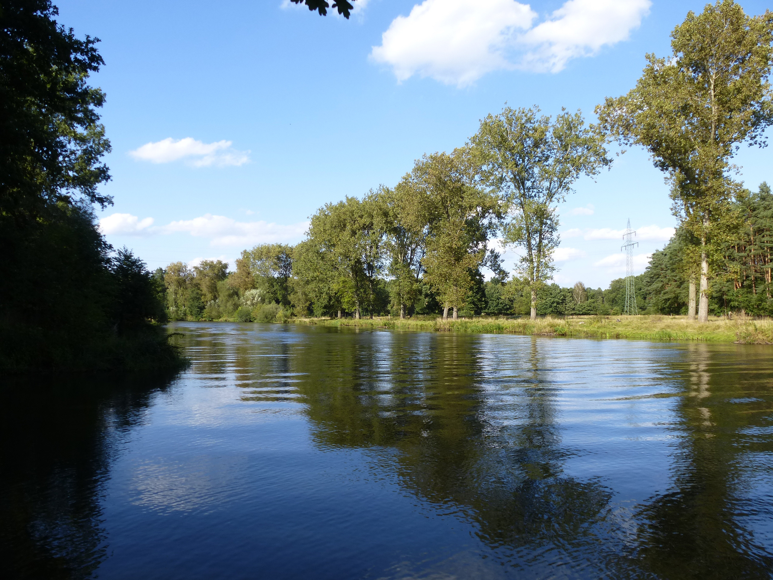 Die Aller nahe Hambühren (Archivbild). In dem Fluss wurde eine Leiche gefunden.