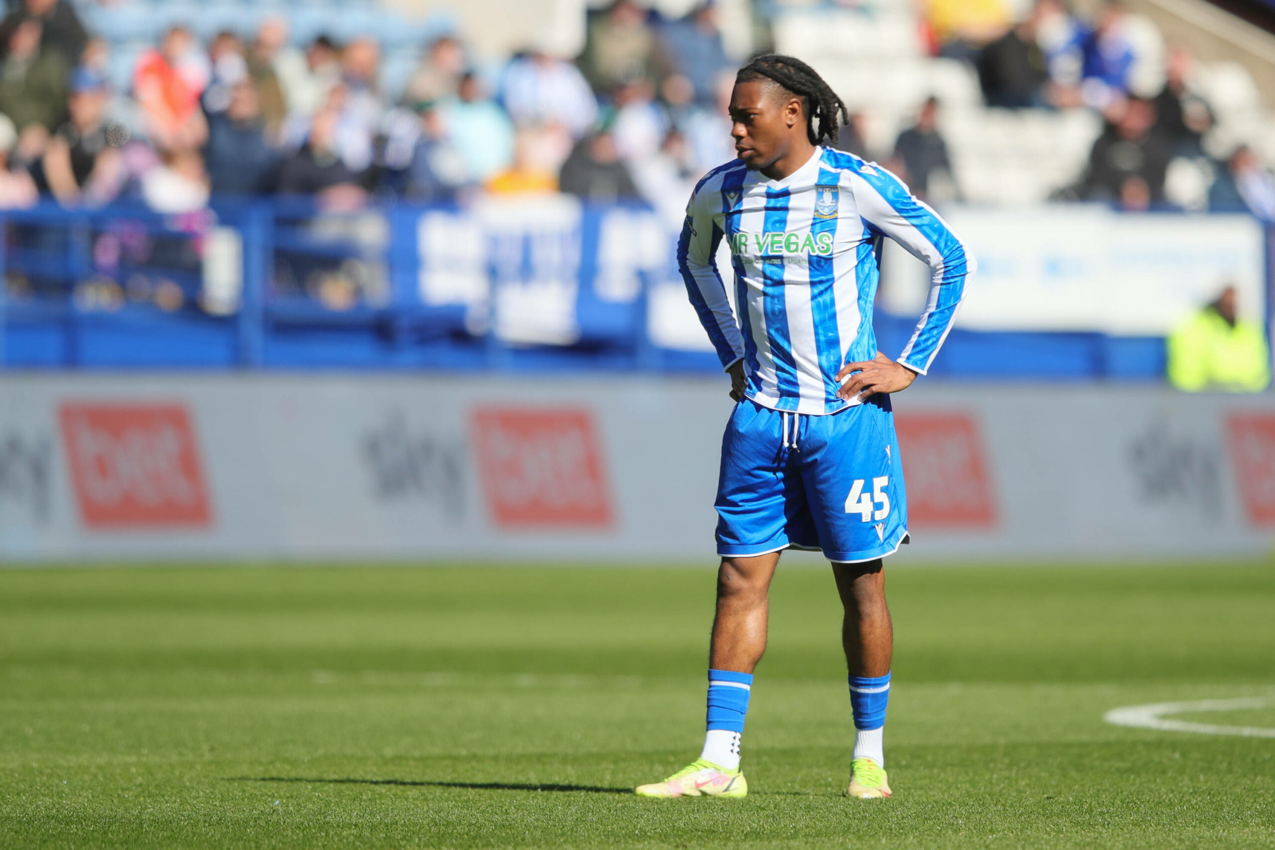 Tayo Adaramola von Sheffield Wednesday