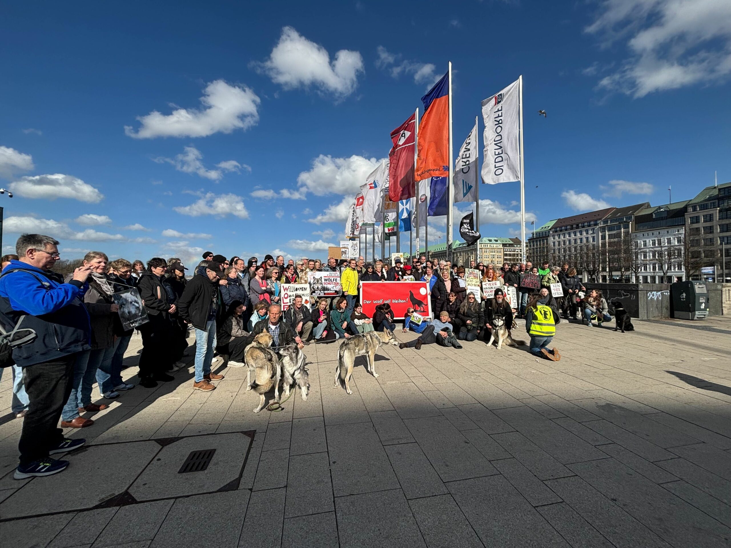 Menschen mit Hunden an der Binnenalster