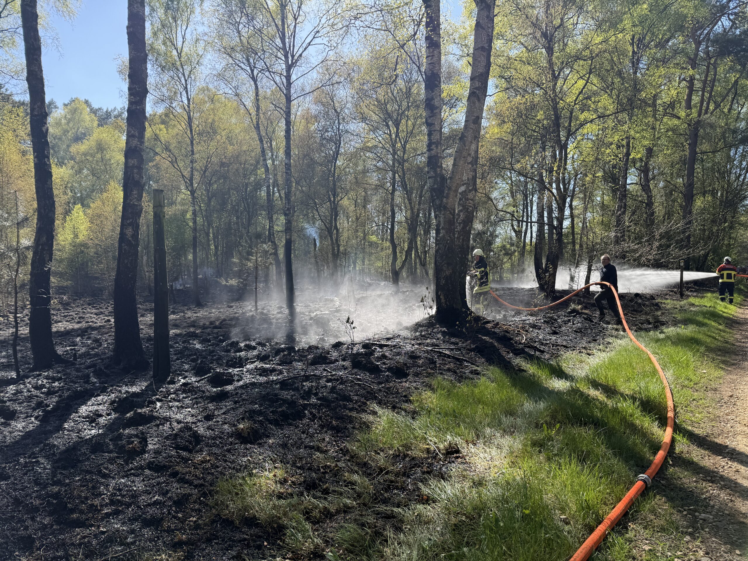 Im Wildpark Eekholt nahe Großenaspe (Kreis Segeberg) hat es gebrannt.