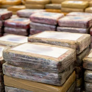 Polizei und Zoll gehen davon aus, dass das geschmuggelte Kokain einen Wert von rund 30 Millionen Euro hat.
