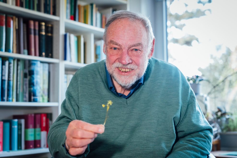 Älterer Herr im grünen Pulli mit kleiner Pflanze