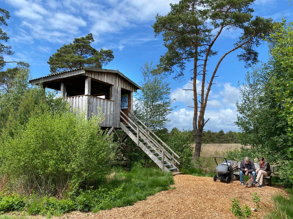 Am Nordpfad „Dör't Moor“ liegt dieser Aussichtspunkt – ideal für eine Rast.