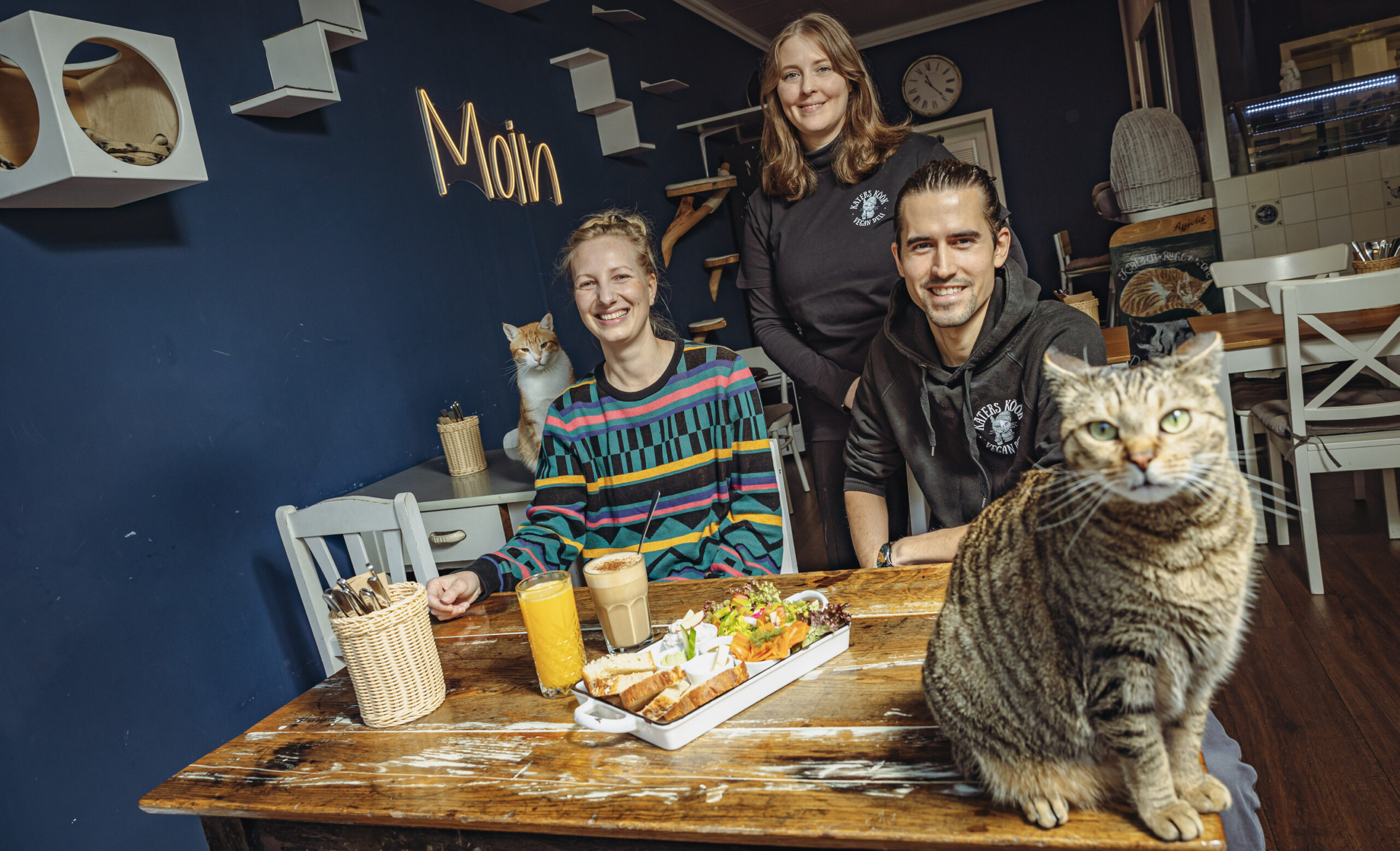 Das Team des „Katers Köök“: Rilana Rentsch (v.l.), Sandra Karolat und Sören Horn – in Katzen-Gesellschaft