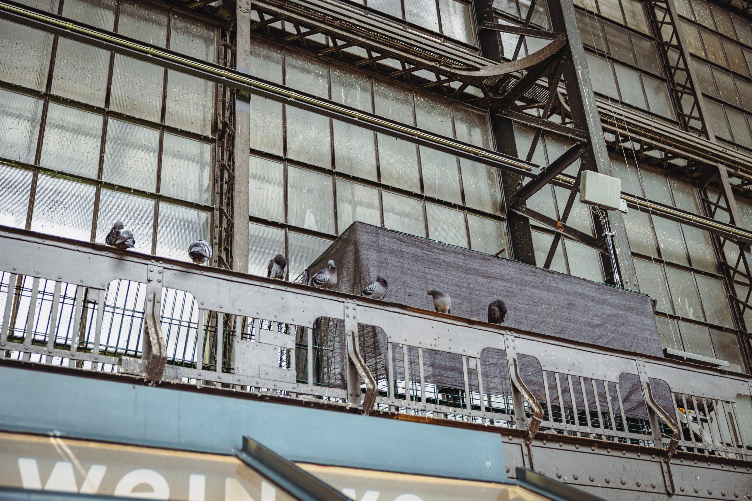 Eine neue Taubenfalle im Hauptbahnhof sorgt für Diskussionen.