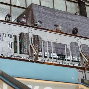 Eine neue Taubenfalle im Hauptbahnhof sorgt für Diskussionen.