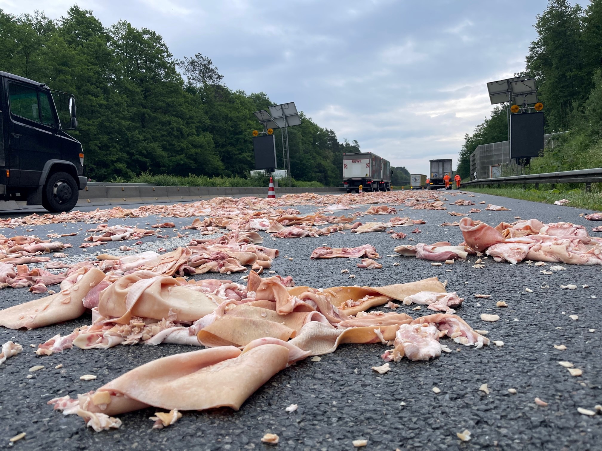 Schlachtabfälle auf einer Straße (Archivbild): Auch im Landkreis Nienburg brachten sie zuletzt Autofahrer ins Schlingern.