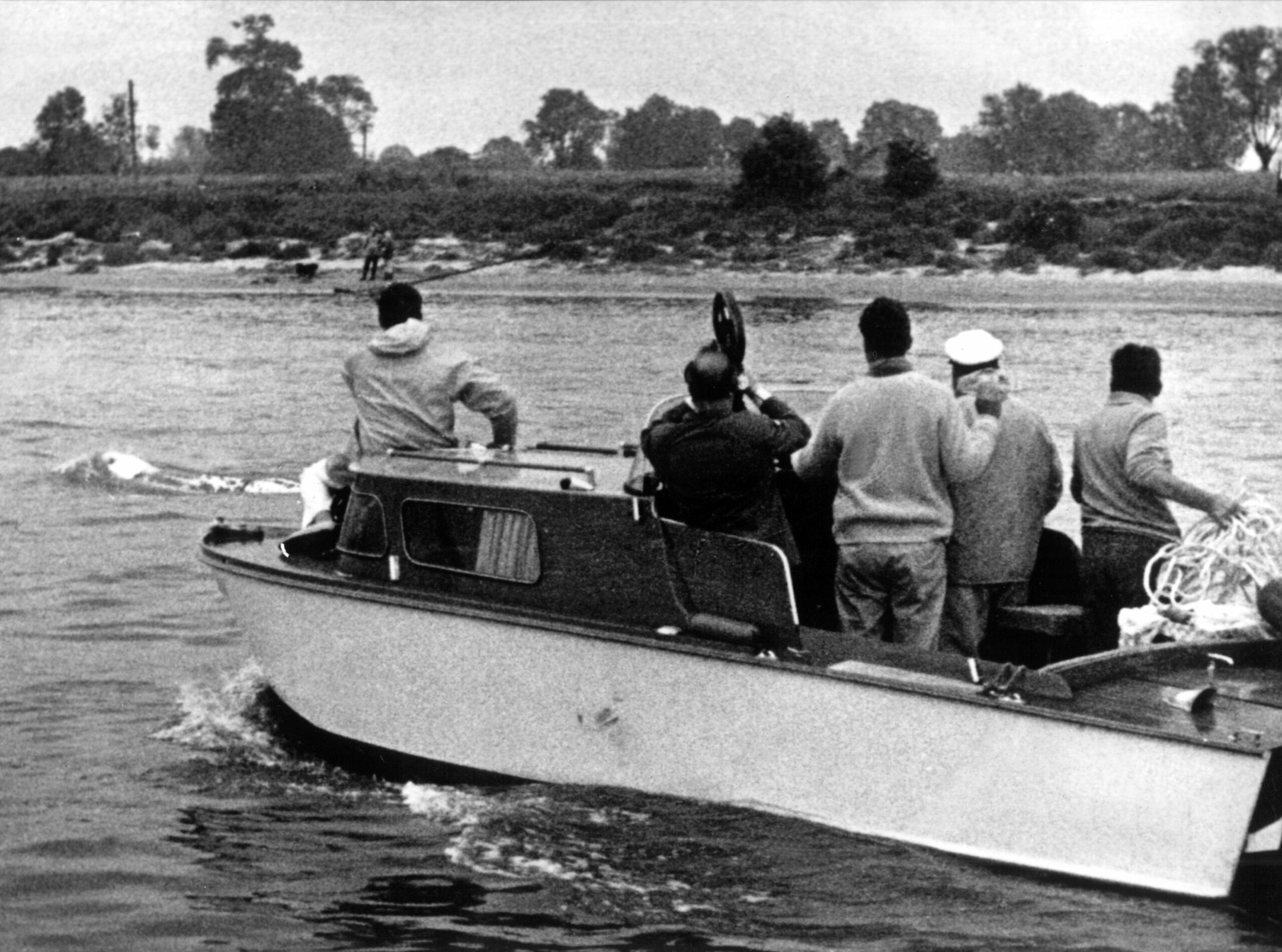Moby Dick schwimmt am 1. Juni 1966 vor der ihn verfolgenden Jacht mit den Wal-Jägern her.