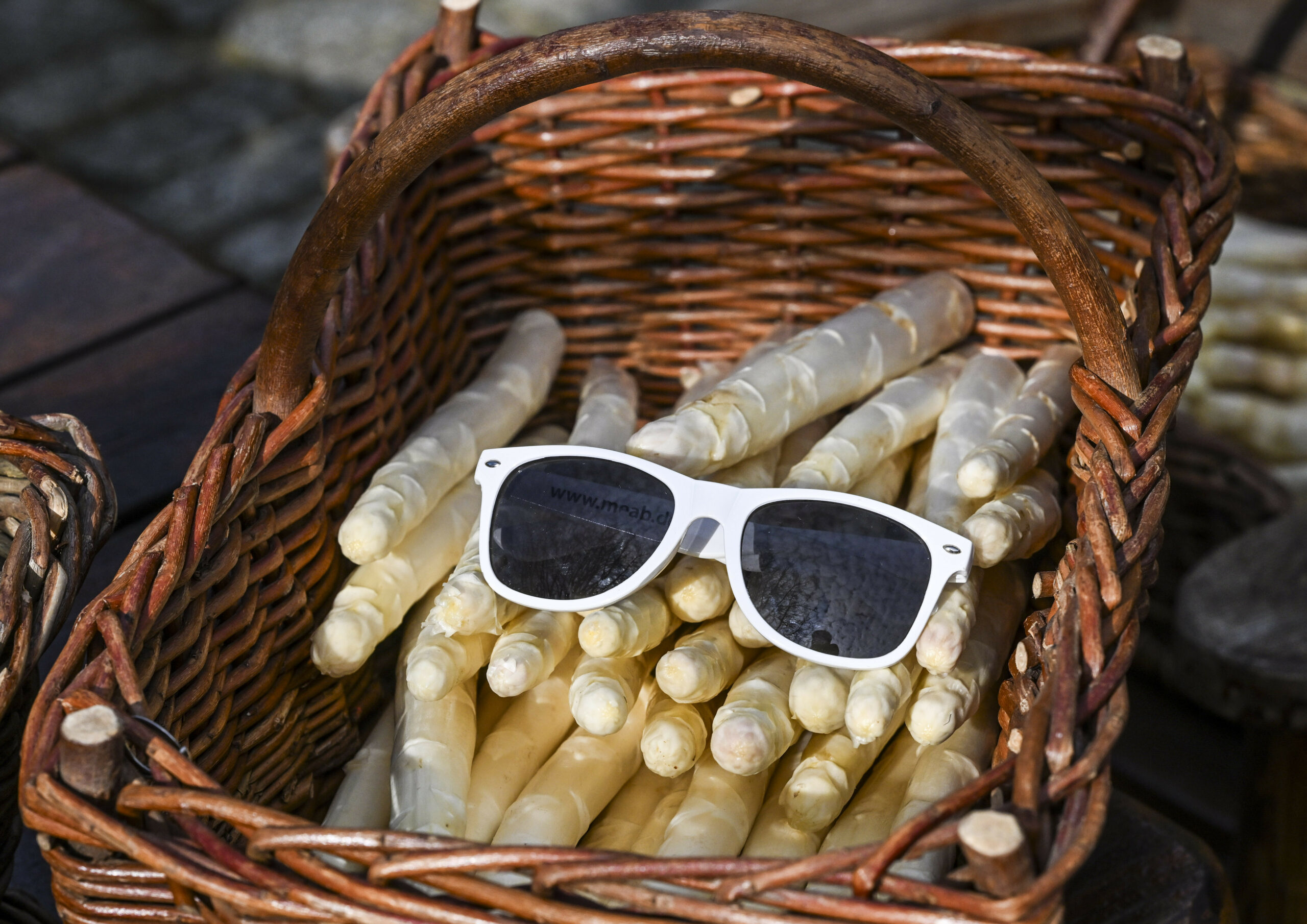 Spargel
