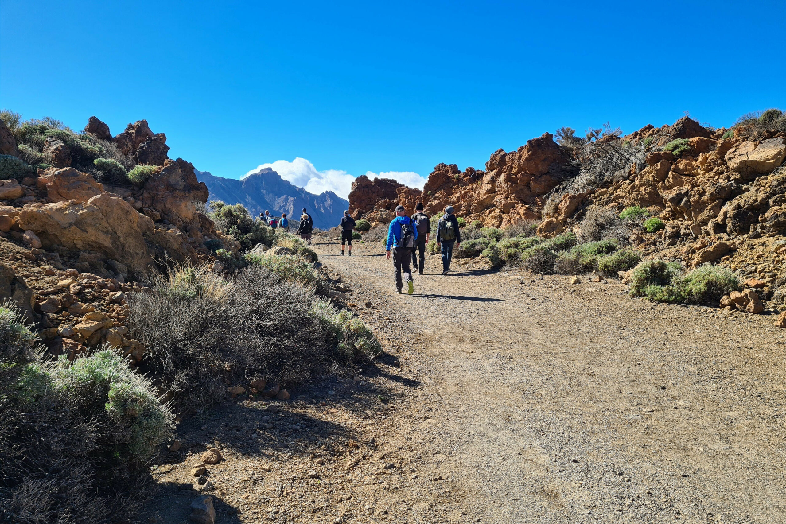 Vulkanlandschaft auf Teneriffa