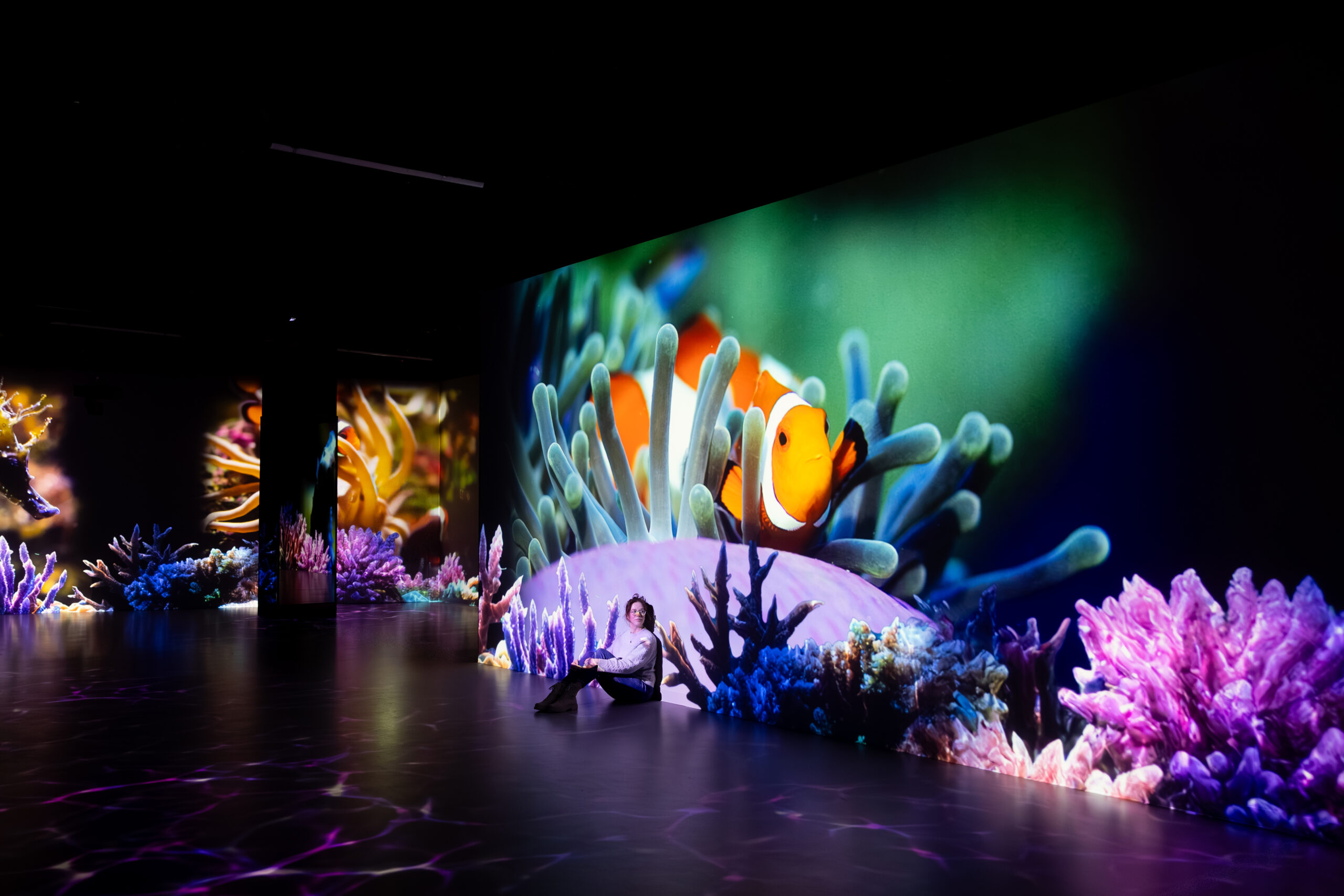 Besucherinnen und Besucher sind in dieser immersiven Ausstellung mittendrin in der bunten Unterwasserwelt.