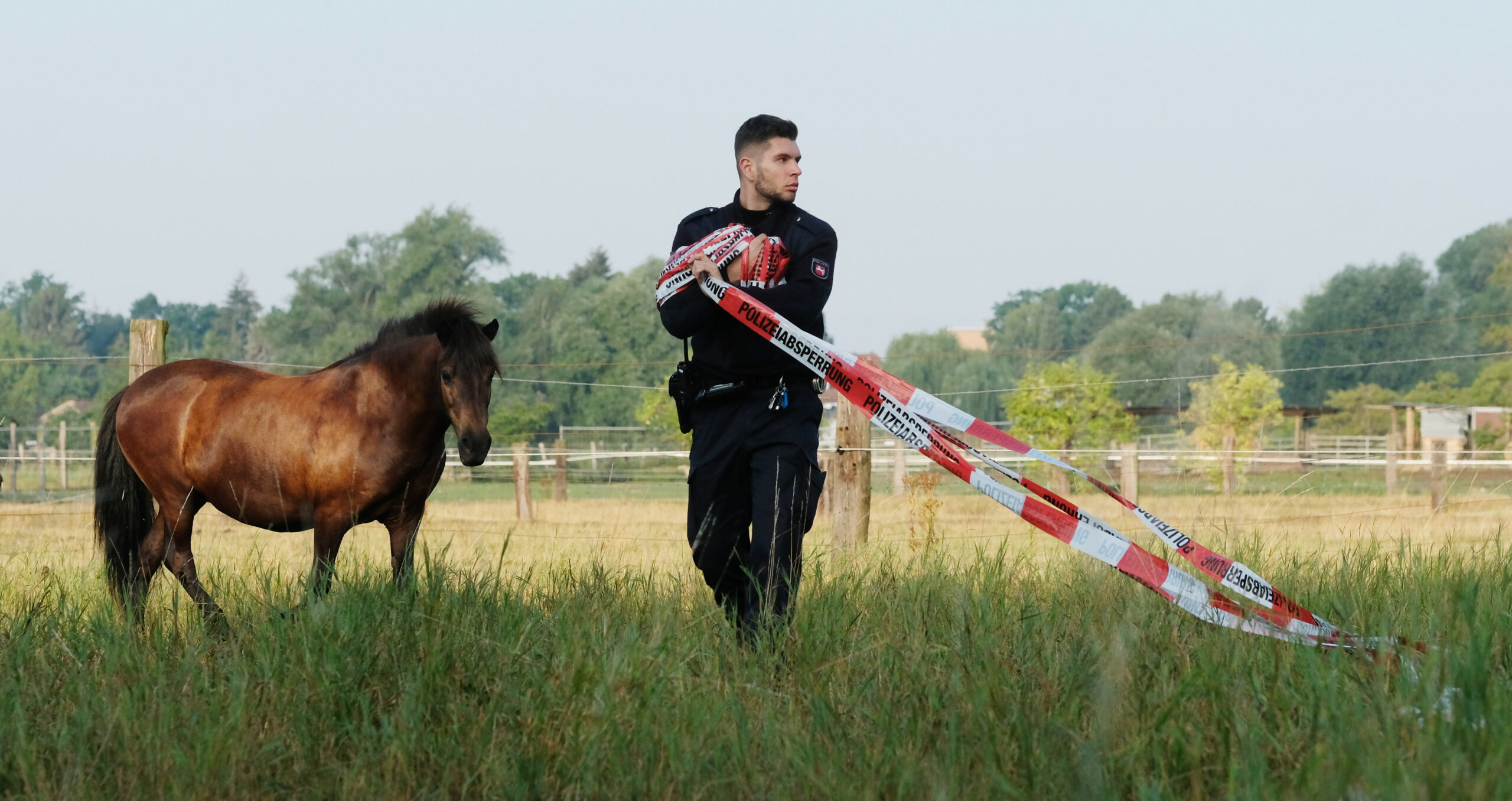 Ein ausgebüxtes Pferd hat auf der Autobahn in Bremen für Chaos gesorgt. (Symbolbild)